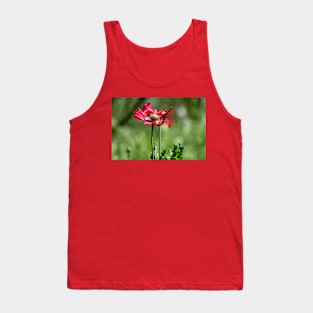 Red Poppy Wildflower Tank Top